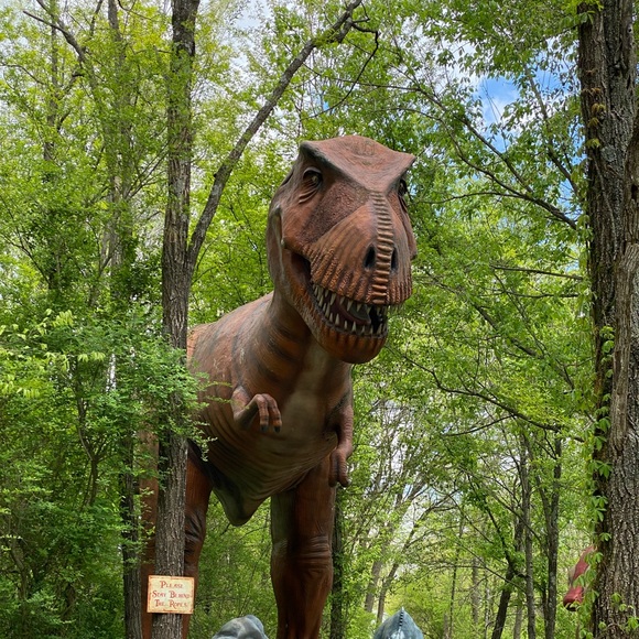 Meet your Posher, Kenny - Picture 1 of 1